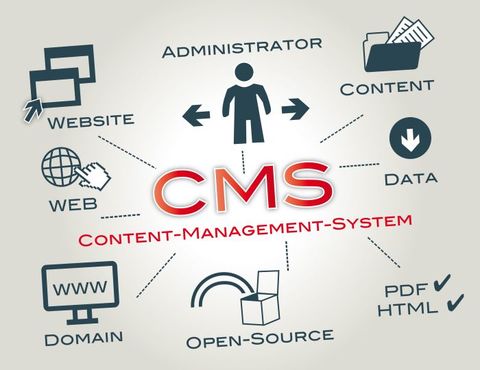 10 Reasons to Use WordPress as a CMS for Your Business