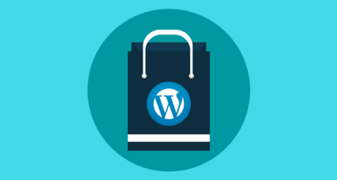 WordPress SEO Tips to Enhance E-commerce Store Sales