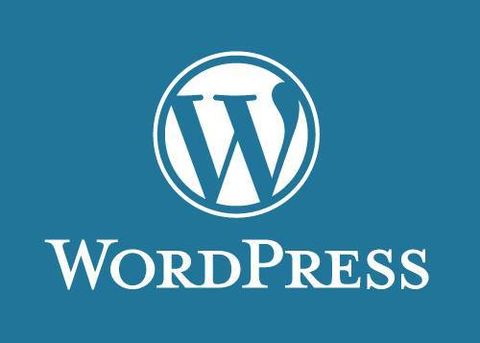 Most Useful WordPress Built-In Options that you must know 