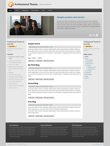 Professional Theme Professional Theme