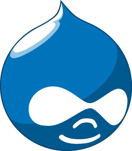 Tips to Ensure Your Drupal Blog Performs at its Best